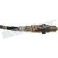 Walker Products Inc. - Sensors auto part