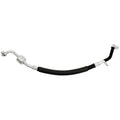 HOSE ASSEMBLY