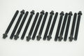 Engine Cylinder Head Bolt Set - 14-32005-02