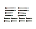 Engine Cylinder Head Bolt Set - 14-10181-01