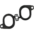 Fuel Injection Plenum Gasket - 71-41317-00