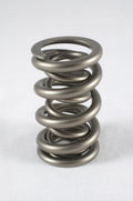 1.300 Dual Valve Springs (16)