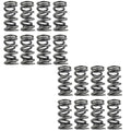 1.500 Dual Valve Springs - (16)