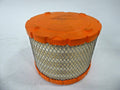 4363 AIR FILTER
