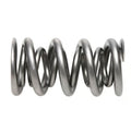 1.500 Dual Valve Springs - (16)