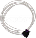 PIGTAIL OR SOCKET