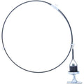 HD OIL PLUG-DIPSTICK