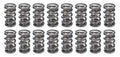 1.500 Dual Valve Springs - (16)