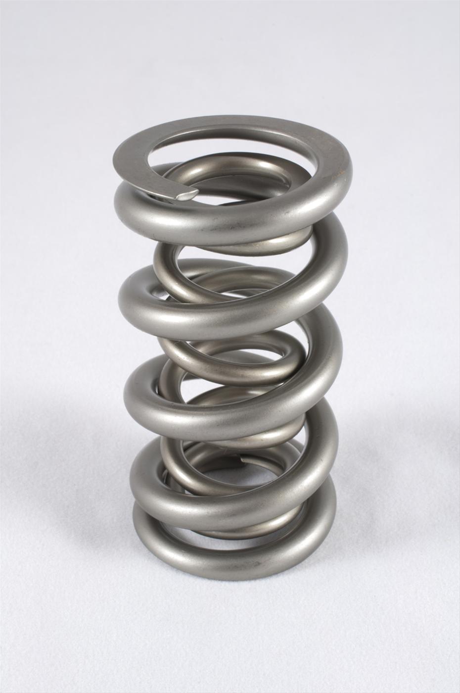 1.500 Dual Valve Springs - (16)