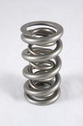 1.500 Dual Valve Springs - (16)