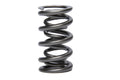 1.500 Dual Valve Springs - (16)