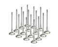 Supertech Audi V8 40V Inconel Exhaust Valve- +1mm Oversize - Single