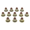 MAHLE Original Buick Rainier 07-06 Eng Valve Steam Seat Set
