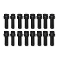 Wedge Locking Header Bolts 3/8 x 1in L (16)