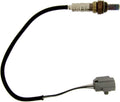 O2 SENSORS