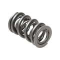 Manley SPRING-1.335 DOUBLE EA