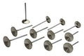 Manley VALVE-R/F NISSAN PATROL 40.5mm EA