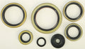 Vertex Gaskets 94-03 KTM EXC 300 Oil Seal Kit