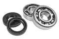Athena 94-01 Yamaha YZ 80 LC Main Bearing & Seal Kit