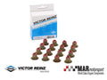 Engine Valve Stem Oil Seal Set - 12-37621-01