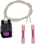 PIGTAIL OR SOCKET