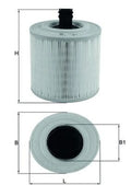 Mahle air filter