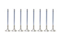 Supertech Mitsubishi 4G63/4G63T Inconel Exhaust Valve - +1mm Oversize - Single (Drop Ship Only)