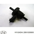 TANK-VENT VALVE