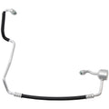 HOSE ASSEMBLY