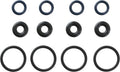 Fuel Injector O-Ring Kit - 18-10021-01
