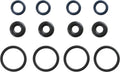 Fuel Injector O-Ring Kit - 18-10021-01