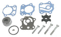 WATER PUMP KIT
