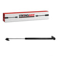 TAILGATE LIFT SUPPORT