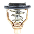 THERMOSTAT KIT