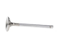 Manley VALVE-SBC P/F 1.600 EA