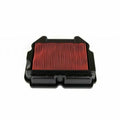 Athena 83-84 Honda ATC 250 R Air Filter