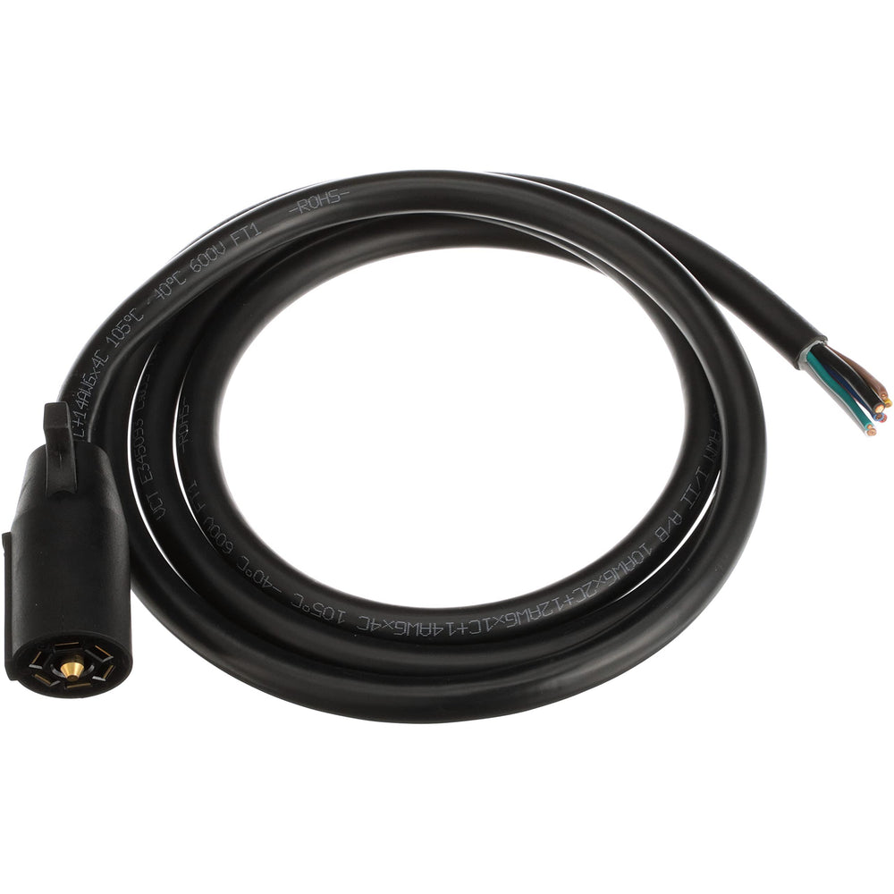 RV CABLE AND ENCAPSULATED PLUG ASSY