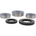All Balls Racing 95-04 Suzuki GSF600S Bandit Wheel Bearing Kit Rear