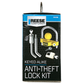 TOW AND STORE ANTI-THEFT LOCK KIT,