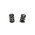 Comp Cams SPRINGS DUAL .550 LIFT BRIGG S GP965-2