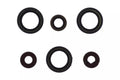 Athena 18-19 Sherco SE-R 125 Engine Oil Seal Kit