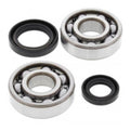 All Balls Racing Crank Shaft Seal Kit