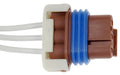 PIGTAIL OR SOCKET