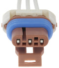 PIGTAIL OR SOCKET