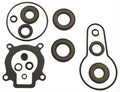 LOWER UNIT SEAL KIT