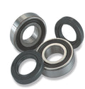 All Balls Racing Wheel Bearing Kit