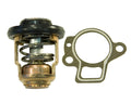 THERMOSTAT KIT