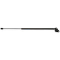 TAILGATE LIFT SUPPORT