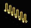 NRG Titanium Gold Steering Wheel Screw Kit Upgrade- Conical 12mm