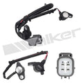 DELPHI auto part